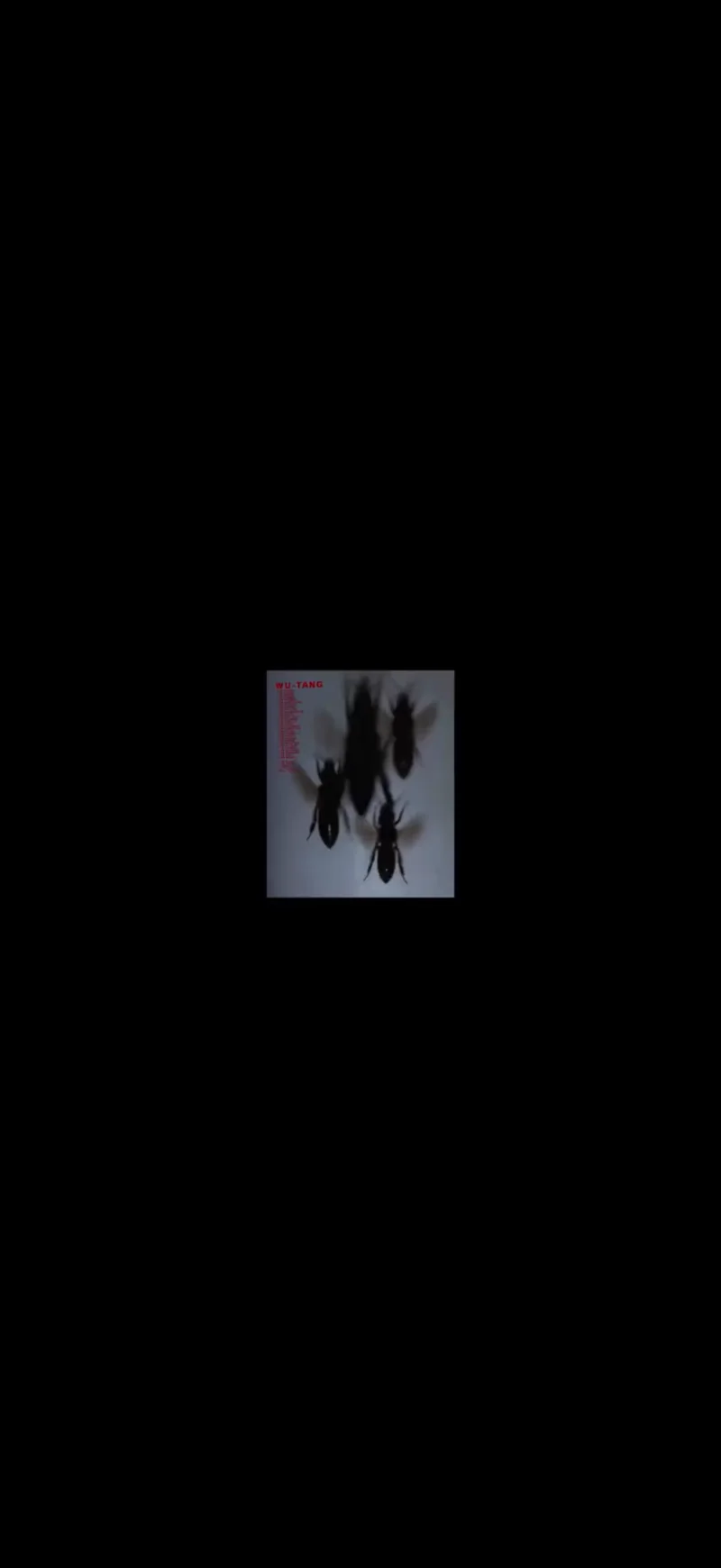 Experimental moving image still